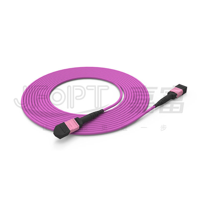 σκοινί 24 πυρήνες πολλαπλού τρόπου OM4 50/125 LSZH 3.04.0mm μπαλωμάτων 100G MTP ιώδης άλτης της Heather