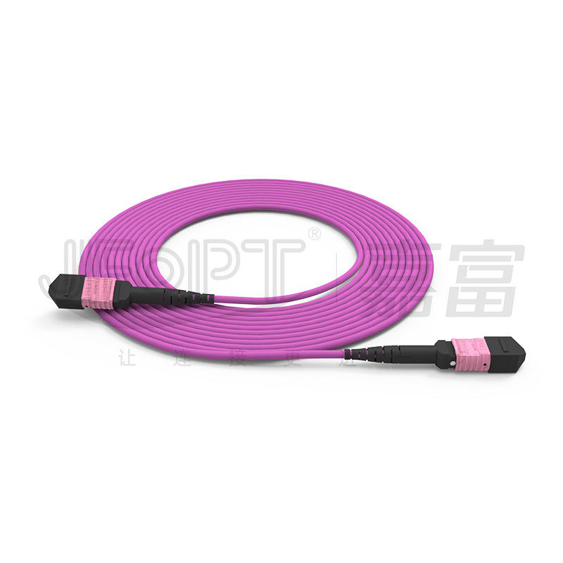 σκοινί 24 πυρήνες πολλαπλού τρόπου OM4 50/125 LSZH 3.04.0mm μπαλωμάτων 100G MTP ιώδης άλτης της Heather